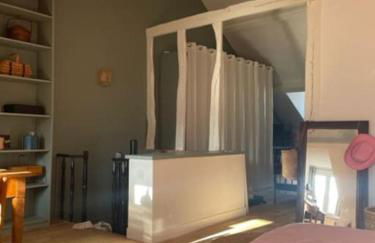 Grande chambre indépendante, charme, calme sur jardin, Nantes centre, accès privé par escalier de l'immeuble, sdb & wc privés, 10 minutes gare et palais des congrès - Foto 7