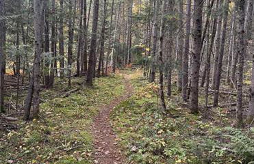 Balsam Fir Mirror House at FarAway Pond - Foto 7