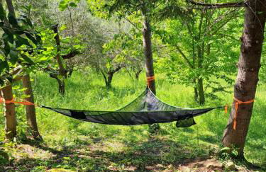 B&B Le Scintille - Foto 65