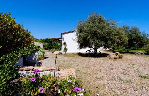 Casa Museddu - Foto 29