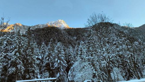 GREEN DOLOMYTE Apartment - Foto 4