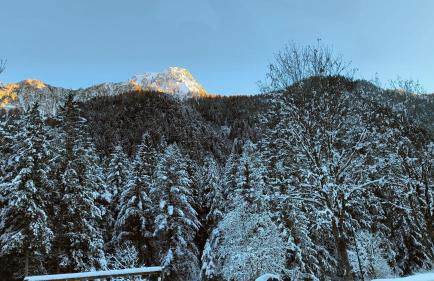 GREEN DOLOMYTE Apartment - Foto 4