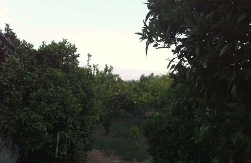 Vounaki Seaside Dreamland! - Foto 61