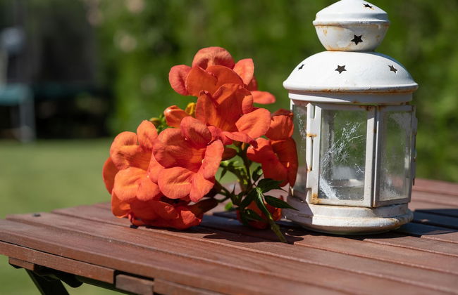 Villa Belinda - Foto 28