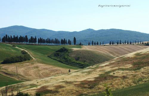 Agriturismo Signorini - Foto 65
