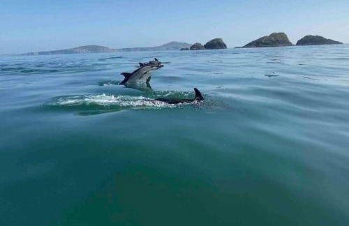 Charming coastal cottage - pet friendly! - Photo 57