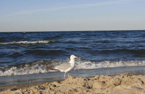 Ankerplatz38 - Foto 21