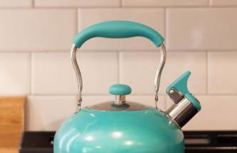 Experience Center Conway I 4 Seasons of Fun - Foto 18