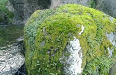 Cottage Aldeia Da Serra - Historic Areas of Portugal - Foto 46