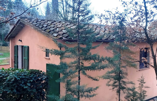 Il Giardino di Daniel Spoerri - Foto 50