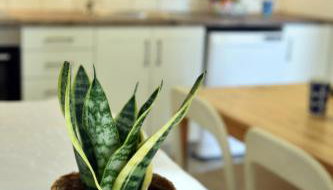 LIONS HOUSE PYTHAGORIO - Foto 5