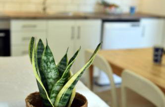 LIONS HOUSE PYTHAGORIO - Foto 5