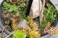 Ferienwohnung Gentsch in Schmannewitz - Foto 41