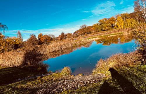 Ferienwohnung I Beck-Bräu nahe Bamberg - Foto 25