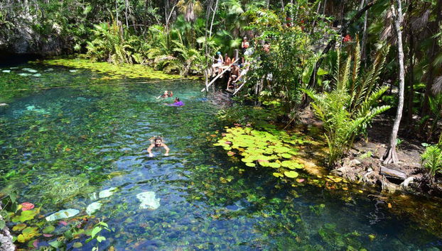 Excursão a Tulum e Akumal + Snorkel em cenote maia - Foto 2, Nadando em Akumal