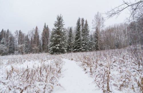 The Chuck Morgan Main House - Foto 67