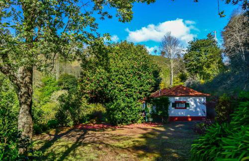 Valle Paraizo - Foto 63