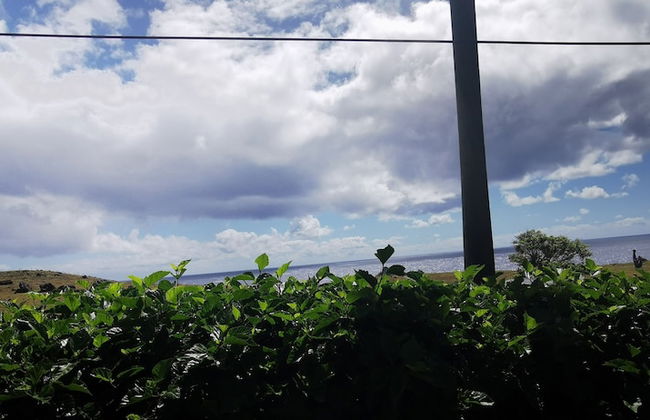 Mataveri Inn - Photo 45