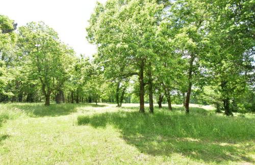 Labardamier Garden Home - Foto 21