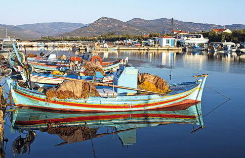 Gaea Gardens Studios - Foto 18