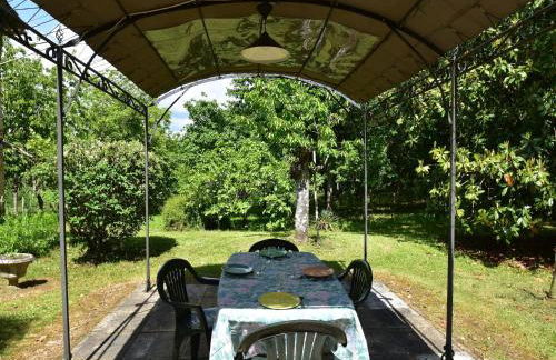 Cosy holiday home with garden - Foto 19