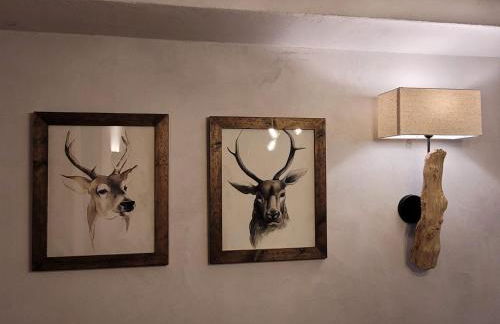 Maison Martin - Foto 25