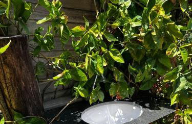 Chalezinho Na Mata Cipó Luxo - Inesquecível (privativo na mata e no centro da serra) - Foto 27