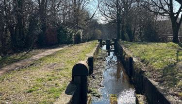 Greenways at Coed Cae Farm - Foto 4