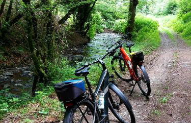 Premium Vulkaneifel Chalet - Foto 28