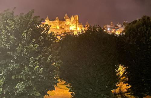 Centre Carcassonne apartment with private sunny terrace - Foto 20