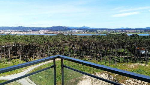 Cavalos de Ofir - Foto 5