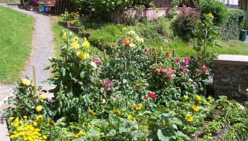 Mia Casa - Foto 2, Garden