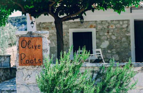 Olive Roots - Foto 1