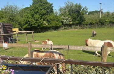 Bridie -rose with wood tub country retreat mini zoo - Foto 36