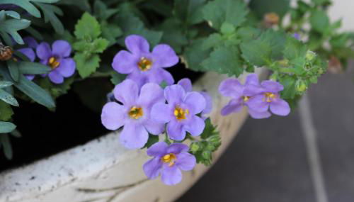 Ferien im Bomlitztal - Foto 5