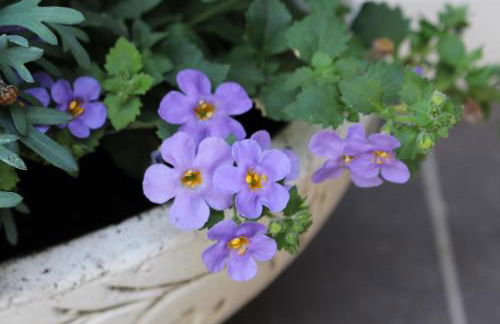 Ferien im Bomlitztal - Foto 5