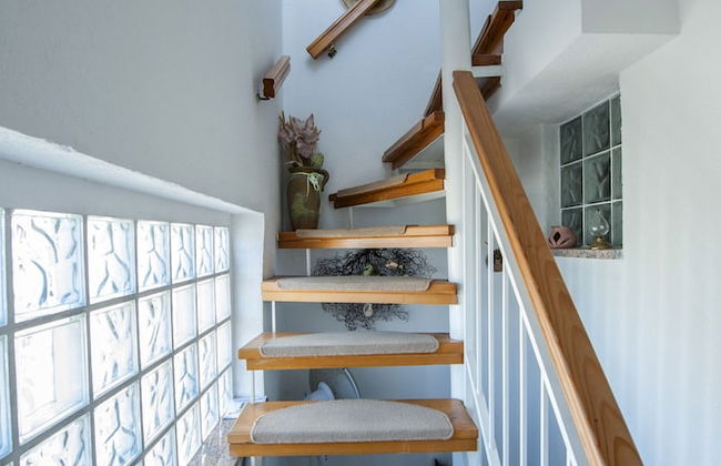 Apartments Rina - Foto 2