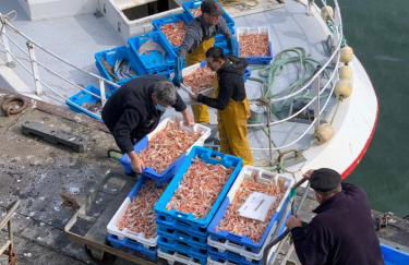 Appartement Design VIII - Port Rosmeur - Sublime vue Mer - Parking - Foto 29