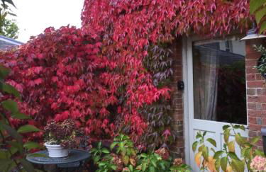 The Dovecote, Stoke Farthing Courtyard - Foto 7