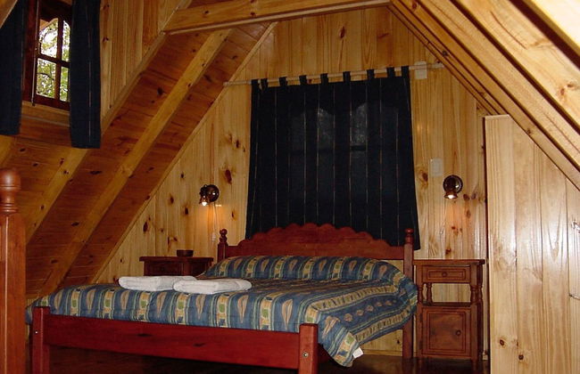 Los Platanos Cabañas & Suites - Foto 7