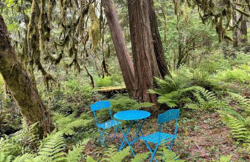 Springbrook · Cozy 2BR Mt. Hood Cabin, Fireplace & Retro Kitchen - Foto 54