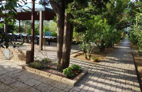 Azienda Agrituristica Le Betulle - Foto 144