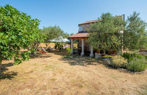 Villa Flaveico - Photo 6