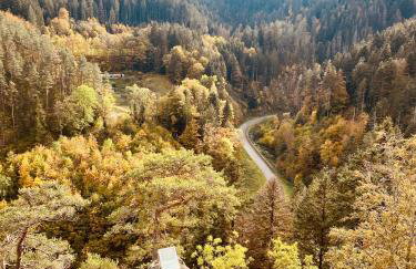 B71 - Appartement im Herzen des Schwarzwalds - Foto 15