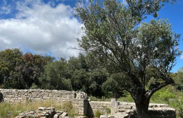 Chez Elia, pour les amoureux des vieilles pierres - Foto 42