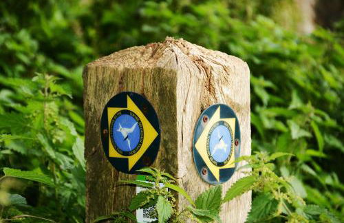 Little Sandy House, Rhosneigr - Foto 43