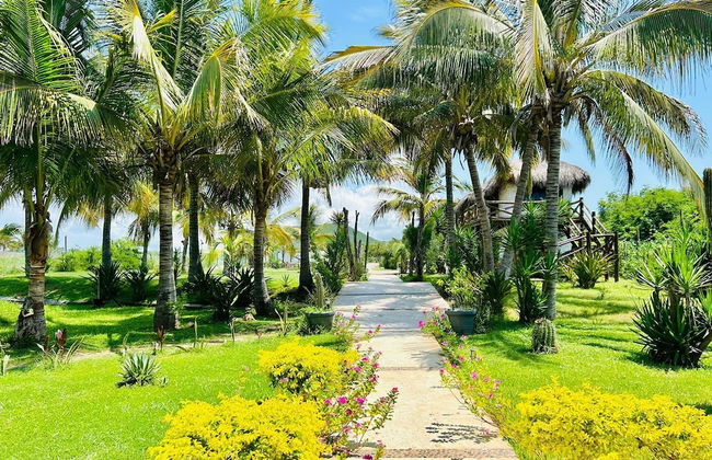 Villas Tortugas Apartments - Photo 72