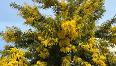 CASA ELSA Charming Apartment - Foto 3, Garden