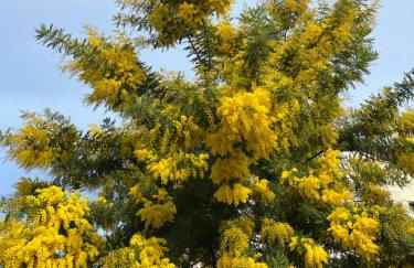 CASA ELSA Charming Apartment - Foto 3