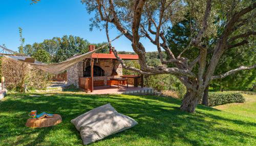 Olive Private Villa up to 12 - Foto 4, Garden, Garden view
